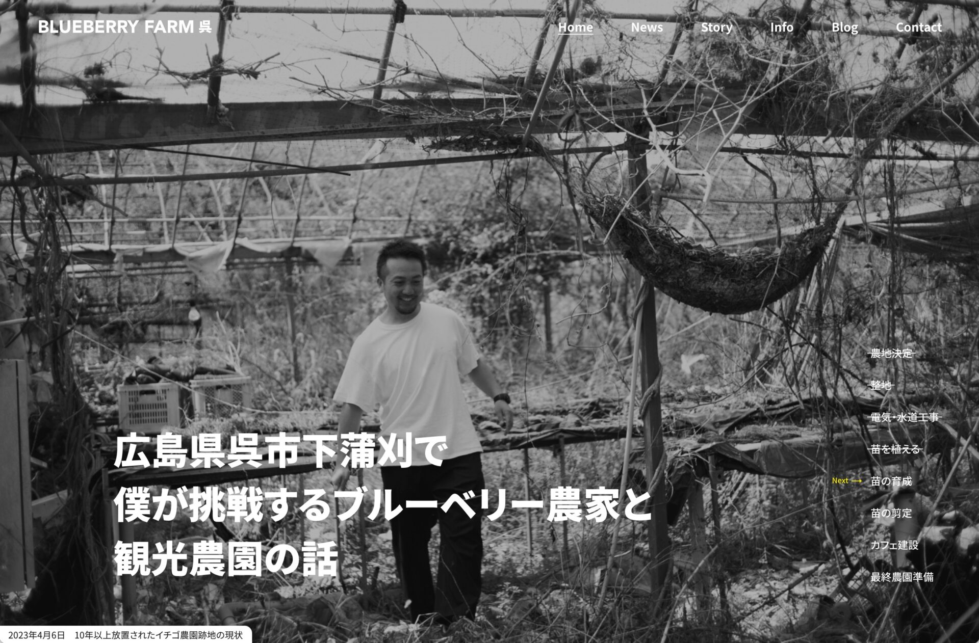 広島県呉市｜ブルーベリーファーム呉のティザーサイトを制作しました